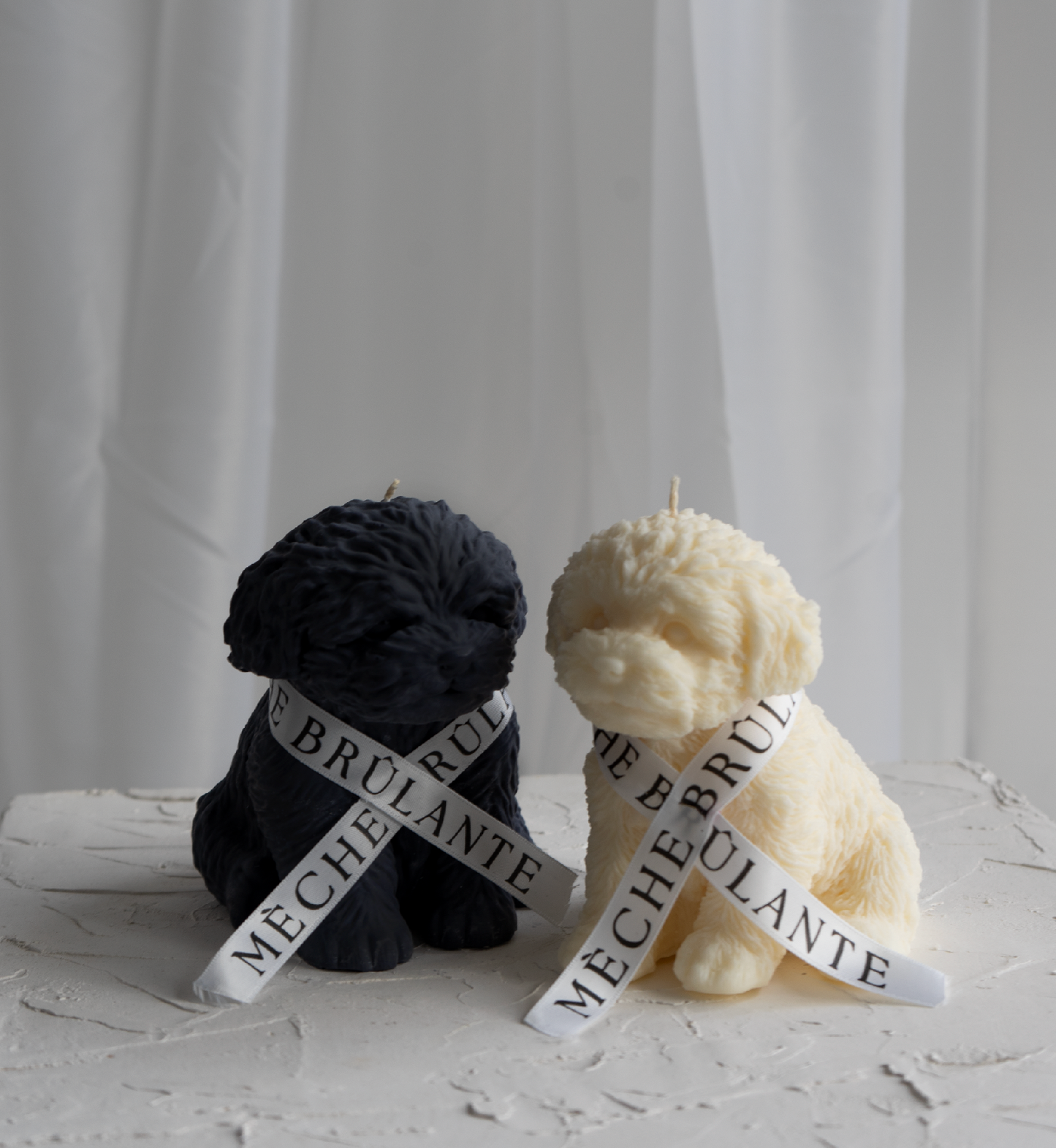 Puppy Duo